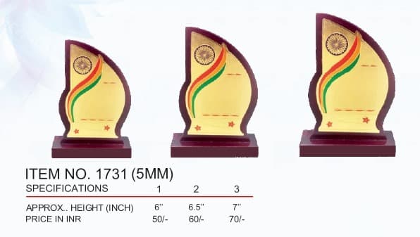 Trophy Collection ind trophy 13